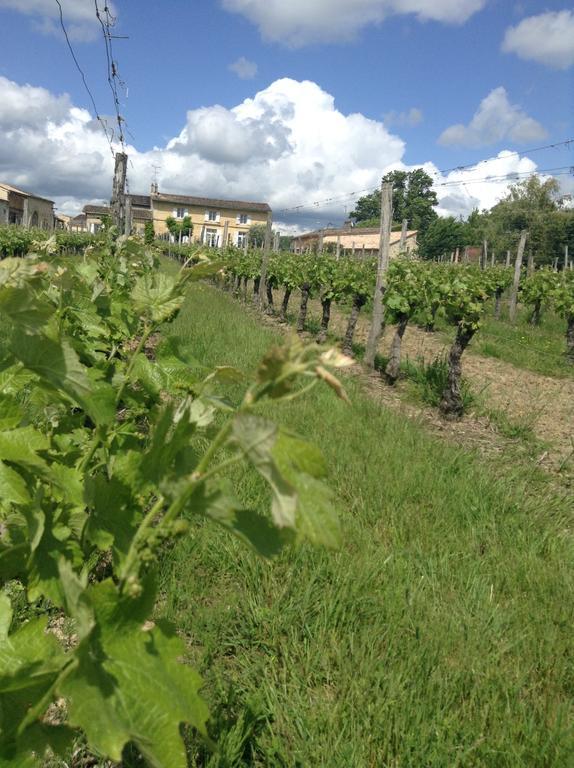 Chateau Nardou Saint-Sulpice-et-Cameyrac Exterior foto